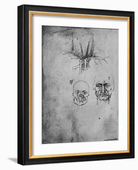 'Drawing Showing the Position of the Blood Vessels in the Neck and Face', c1480 (1945)-Leonardo Da Vinci-Framed Giclee Print