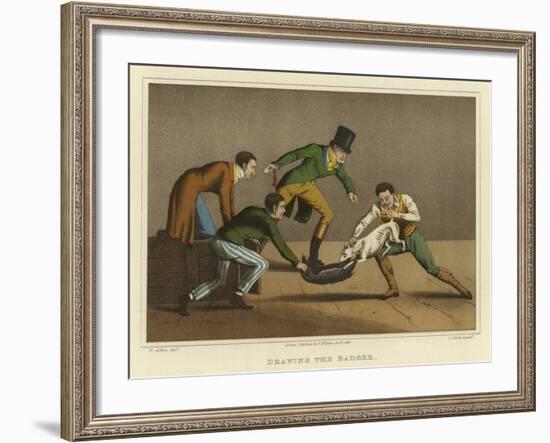 Drawing the Badger-Henry Thomas Alken-Framed Giclee Print