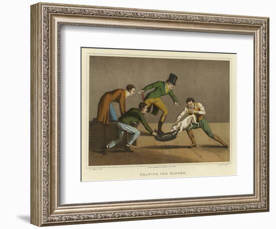 Drawing the Badger-Henry Thomas Alken-Framed Giclee Print