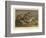 Drawing the Badger-Henry Thomas Alken-Framed Giclee Print