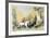 Drawing the Wood-Frank Wootton-Framed Limited Edition