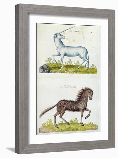 Drawings of a Unicorn and a Wild Horse (W/C on Paper)-French-Framed Giclee Print