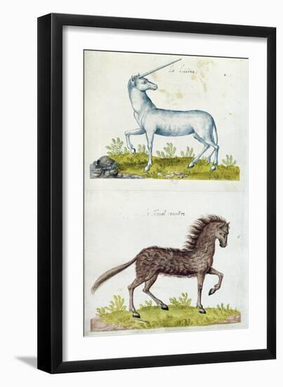 Drawings of a Unicorn and a Wild Horse (W/C on Paper)-French-Framed Giclee Print