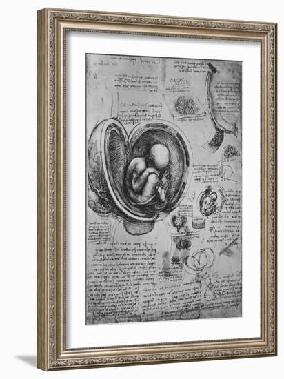 'Drawings of an Embryo in the Uterus', c1480 (1945)-Leonardo Da Vinci-Framed Giclee Print