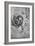 'Drawings of an Embryo in the Uterus', c1480 (1945)-Leonardo Da Vinci-Framed Giclee Print