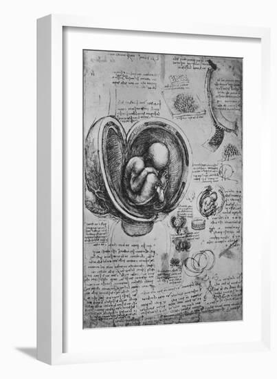 'Drawings of an Embryo in the Uterus', c1480 (1945)-Leonardo Da Vinci-Framed Giclee Print