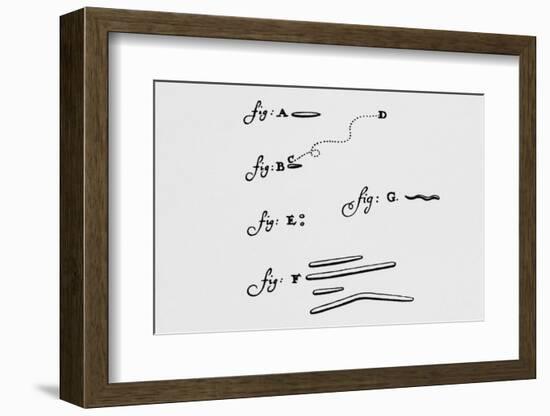Drawings of Animalcules Form Leeuwenhoek's Letter-Jeremy Burgess-Framed Photographic Print