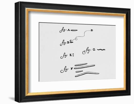 Drawings of Animalcules Form Leeuwenhoek's Letter-Jeremy Burgess-Framed Photographic Print