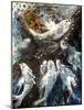 Dream 2020 Oil on Canvas-jocasta shakespeare-Mounted Giclee Print