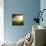 Dream About Home-Nermin Smaji?-Photographic Print displayed on a wall