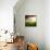 Dream About Home-Nermin Smaji?-Photographic Print displayed on a wall