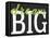 Dream Big Color Black Bk Distressed Treatment-Leslie Wing-Framed Premier Image Canvas