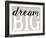 Dream Big Distressed Treatment-Leslie Wing-Framed Giclee Print