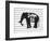 Dream Big Elephant-Amy Brinkman-Framed Art Print