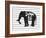 Dream Big Elephant-Amy Brinkman-Framed Art Print