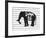 Dream Big Elephant-Amy Brinkman-Framed Art Print