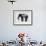 Dream Big Elephant-Amy Brinkman-Framed Art Print displayed on a wall