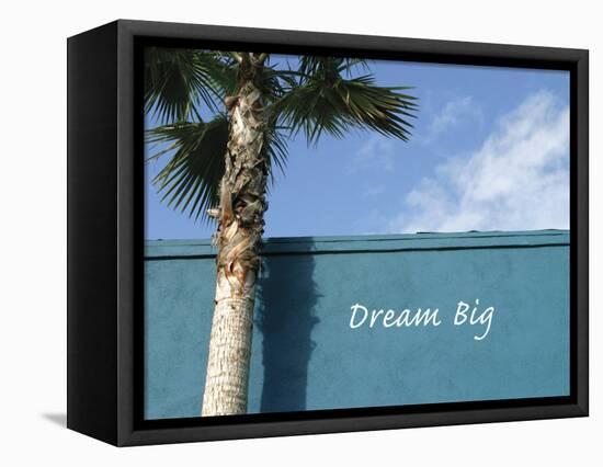 Dream Big-Nicole Katano-Framed Stretched Canvas