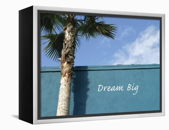 Dream Big-Nicole Katano-Framed Stretched Canvas