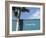 Dream Big-Nicole Katano-Framed Photo