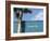 Dream Big-Nicole Katano-Framed Photo