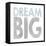 Dream Big-Erin Clark-Framed Premier Image Canvas