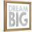 Dream Big-Erin Clark-Framed Premier Image Canvas