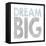 Dream Big-Erin Clark-Framed Premier Image Canvas