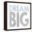 Dream Big-Erin Clark-Framed Premier Image Canvas