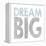 Dream Big-Erin Clark-Framed Premier Image Canvas