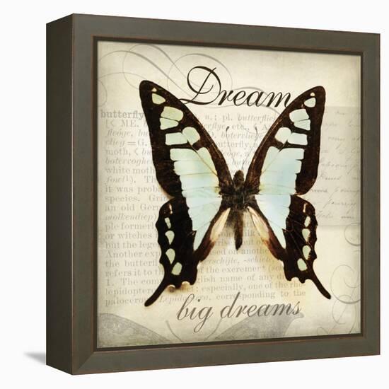 Dream Big-Amy Melious-Framed Stretched Canvas