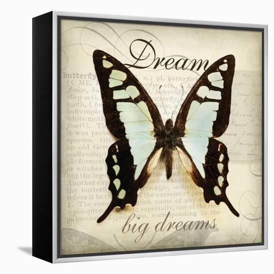 Dream Big-Amy Melious-Framed Stretched Canvas