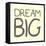 Dream Big-Milli Villa-Framed Stretched Canvas