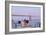 Dream Cafe Golden Gate Bridge #57-Alan Blaustein-Framed Photographic Print