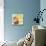 Dream Cone III-Fiona Stokes-Gilbert-Premium Giclee Print displayed on a wall