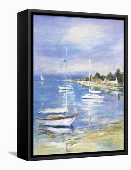 Dream Cove II-Marysia Burr-Framed Premier Image Canvas