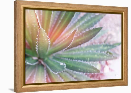 Dream Desert I-Sue Schlabach-Framed Stretched Canvas