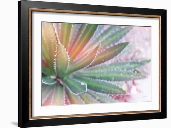 Dream Desert I-Sue Schlabach-Framed Premium Giclee Print