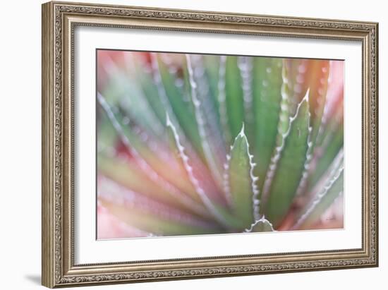 Dream Desert II-Sue Schlabach-Framed Art Print