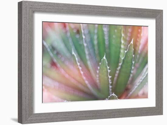 Dream Desert II-Sue Schlabach-Framed Art Print