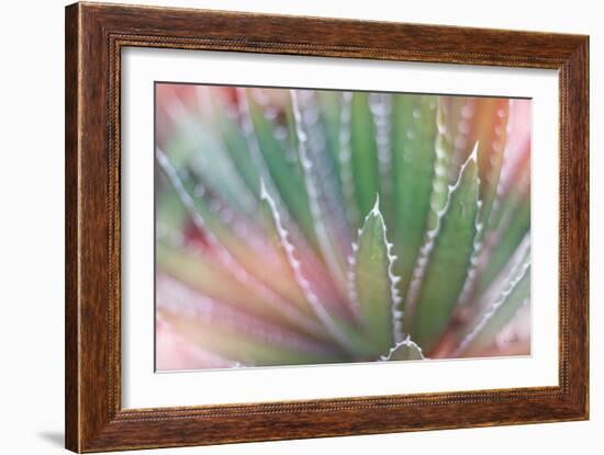 Dream Desert II-Sue Schlabach-Framed Art Print