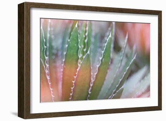 Dream Desert III-Sue Schlabach-Framed Art Print