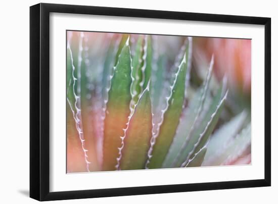 Dream Desert III-Sue Schlabach-Framed Art Print