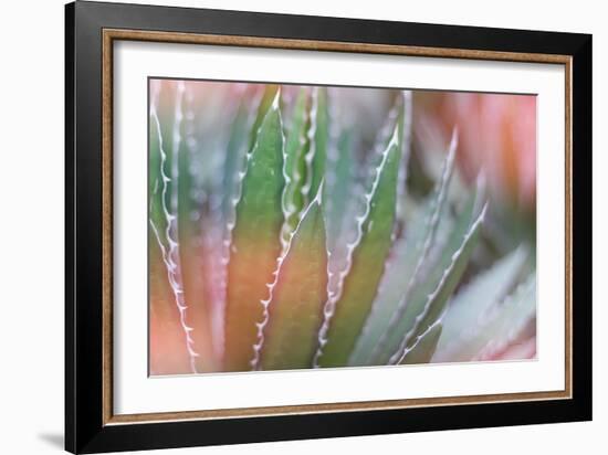 Dream Desert III-Sue Schlabach-Framed Art Print