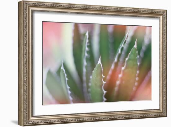 Dream Desert IV-Sue Schlabach-Framed Art Print