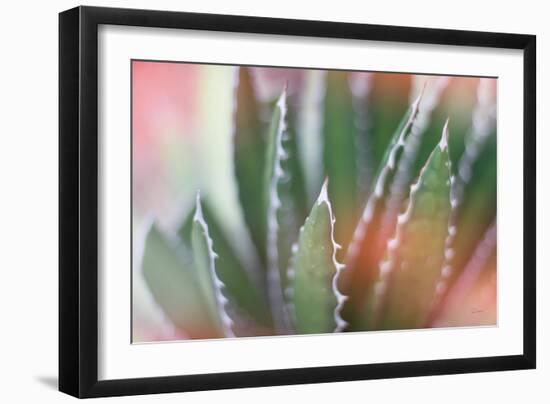 Dream Desert IV-Sue Schlabach-Framed Art Print