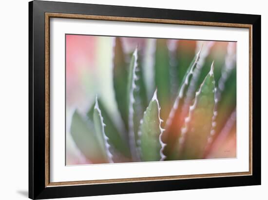 Dream Desert IV-Sue Schlabach-Framed Art Print