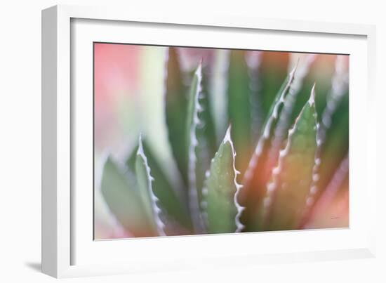 Dream Desert IV-Sue Schlabach-Framed Art Print