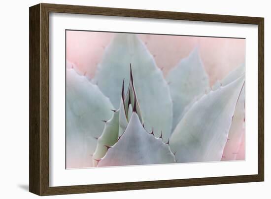 Dream Desert V-Sue Schlabach-Framed Art Print