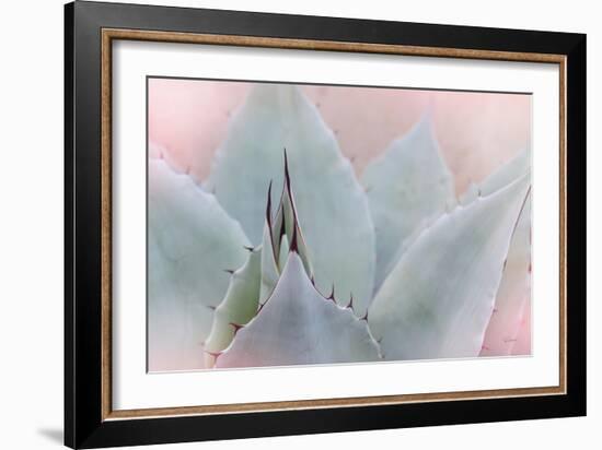 Dream Desert V-Sue Schlabach-Framed Art Print